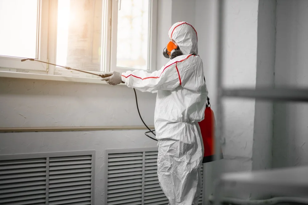 Professional mold remediation services in Lucedale, MS
